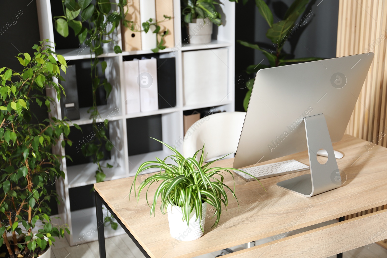 Stylish workplace with modern computer and floral decor in office. Biophilic interior design Photo of Stylish workplace with modern computer and floral decor in office. Biophilic interior design