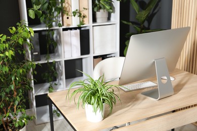 Photo of Stylish workplace with modern computer and floral decor in office. Biophilic interior design