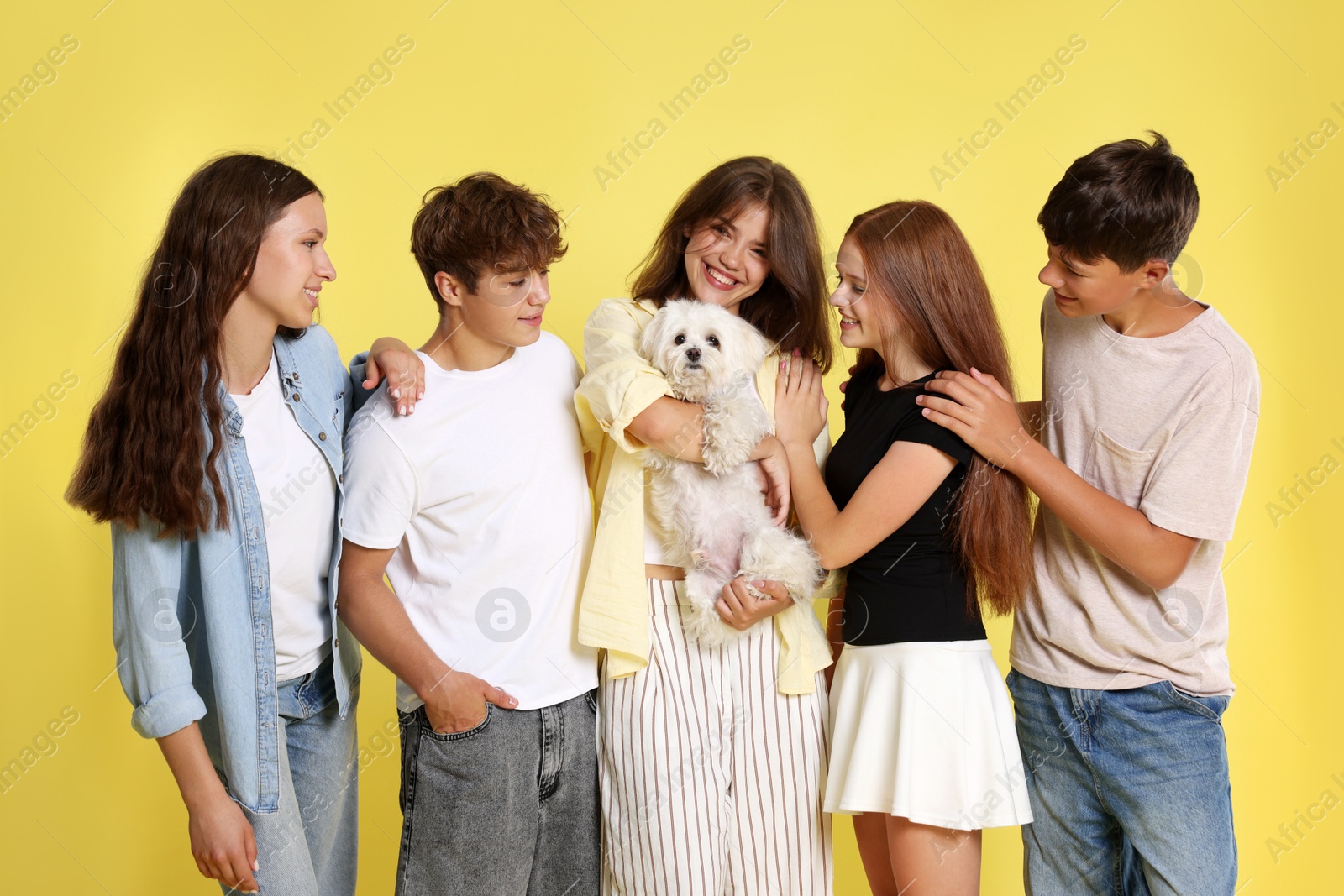 Photo of Happy teenage friends with cute dog on yellow background