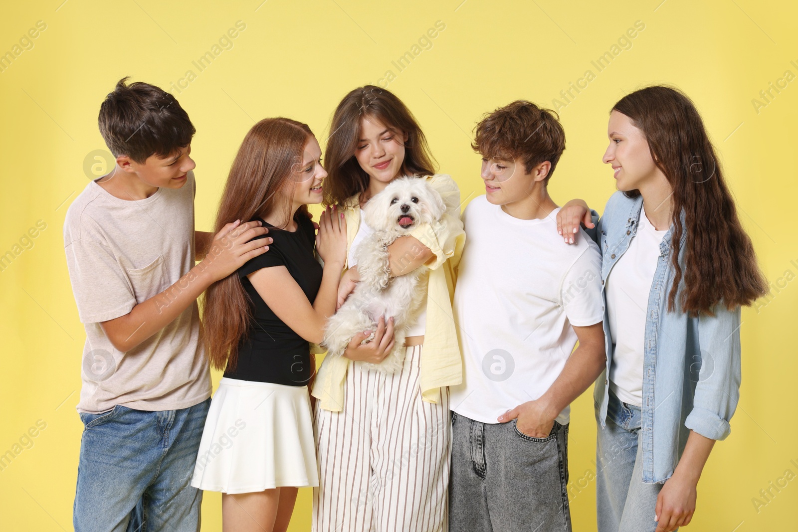 Photo of Happy teenage friends with cute dog on yellow background