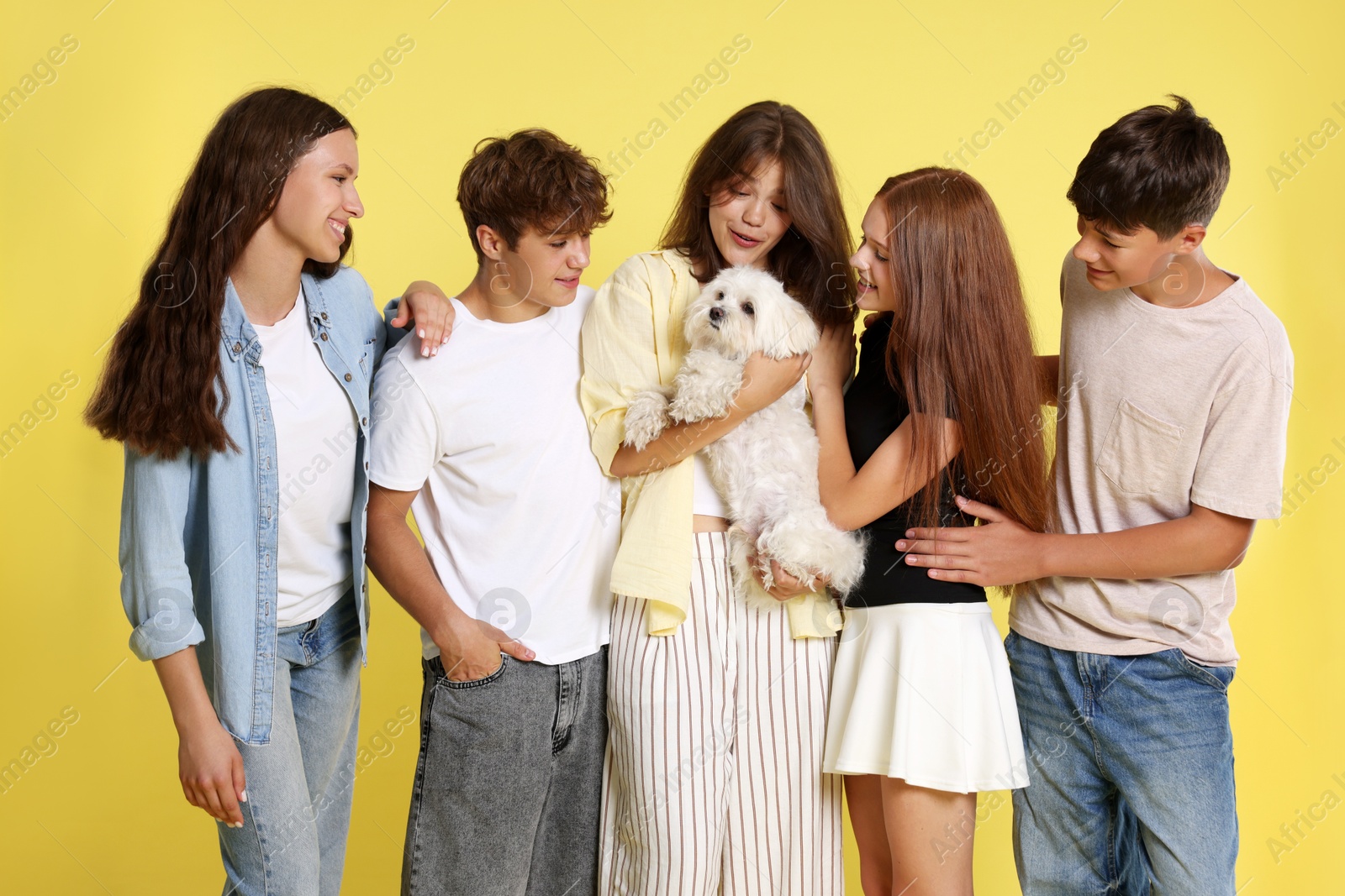 Photo of Happy teenage friends with cute dog on yellow background
