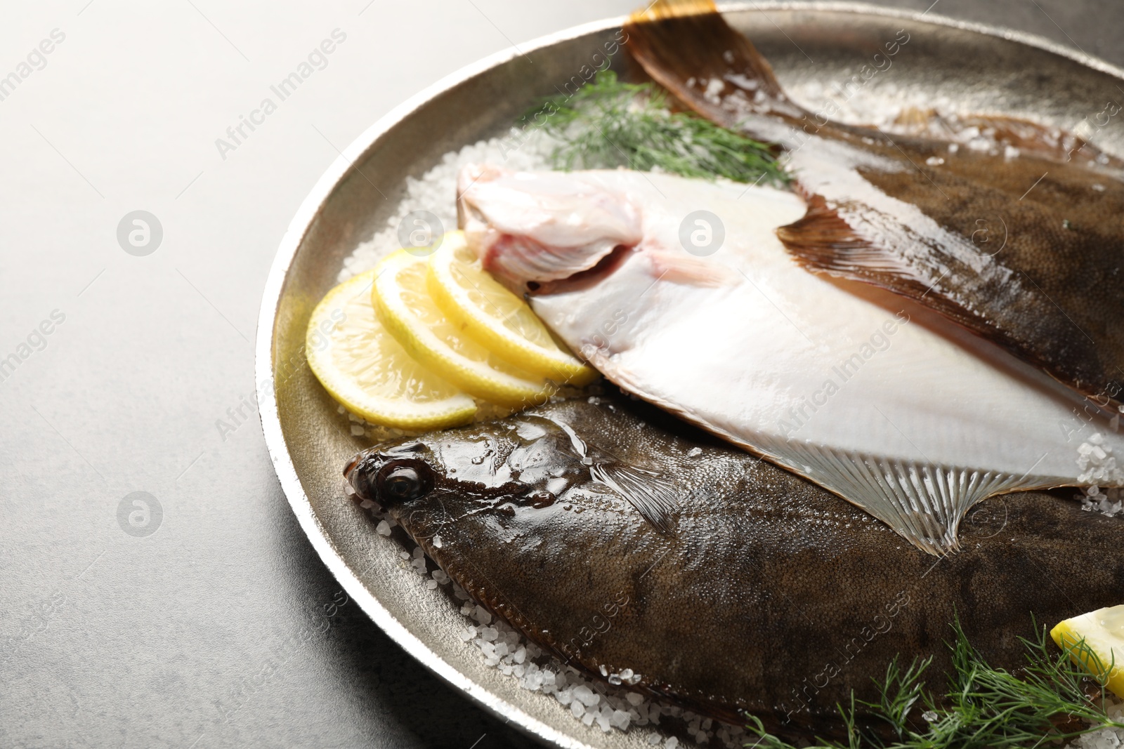 Fresh flounder fish, salt, lemon and dill on grey textured table, closeup. Raw seafood Photo of Fresh flounder fish, salt, lemon and dill on grey textured table, closeup. Raw seafood