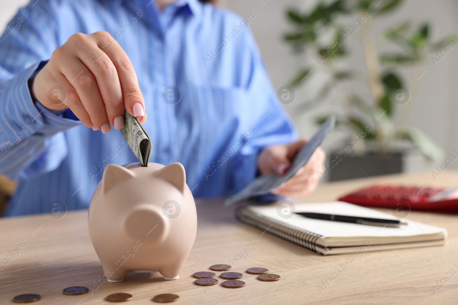 Woman putting money into piggybank at wooden table, closeup Photo of Woman putting money into piggybank at wooden table, closeup