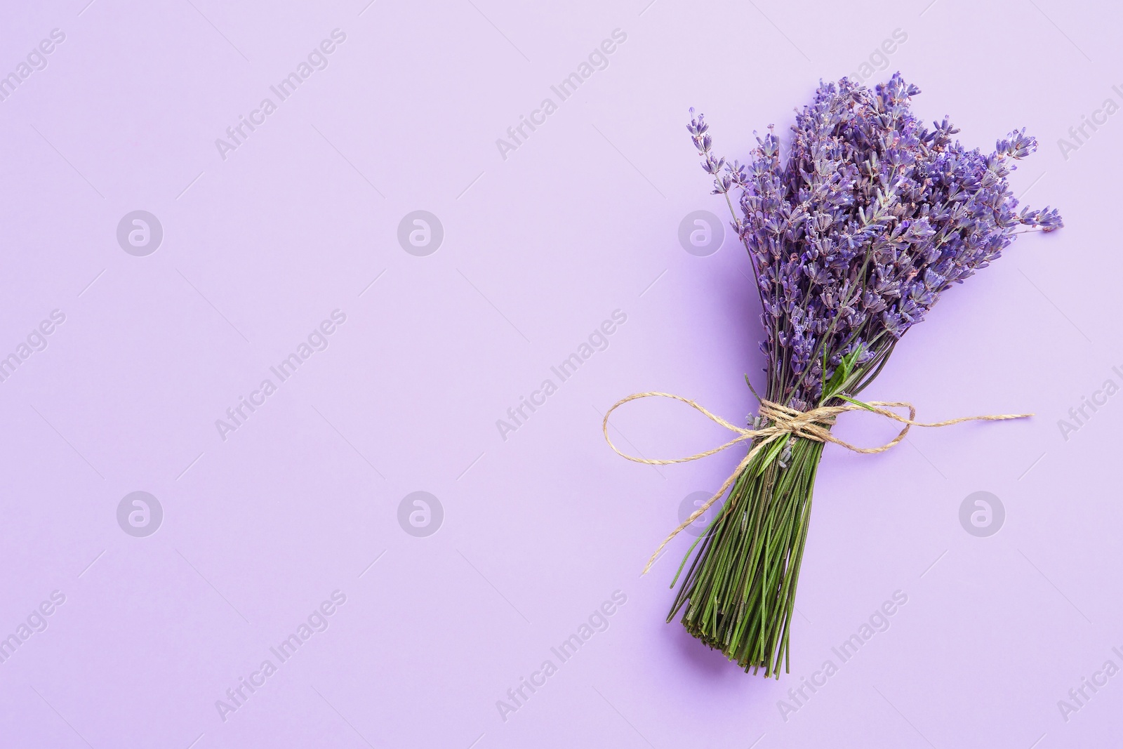 Photo of Bunch of beautiful lavender flowers on violet background, top view. Space for text