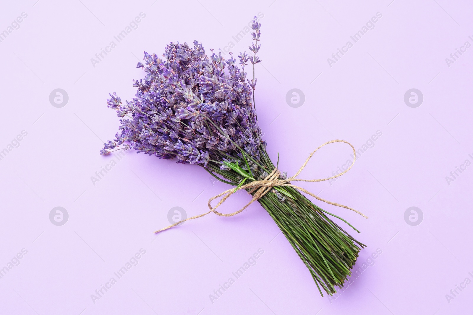 Photo of Bunch of beautiful lavender flowers on violet background, top view