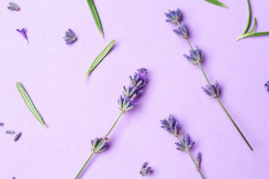 Photo of Beautiful lavender sprigs and leaves on violet background, flat lay