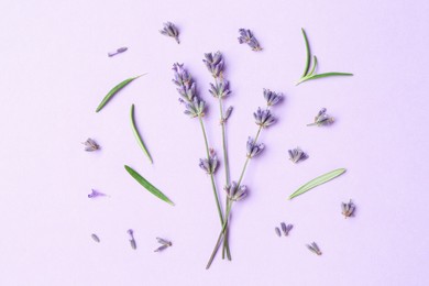 Photo of Beautiful lavender sprigs and leaves on violet background, flat lay
