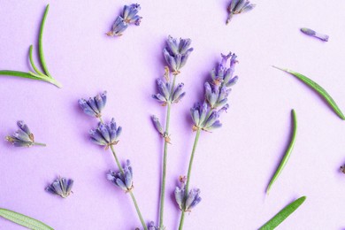 Photo of Beautiful lavender sprigs and leaves on violet background, flat lay