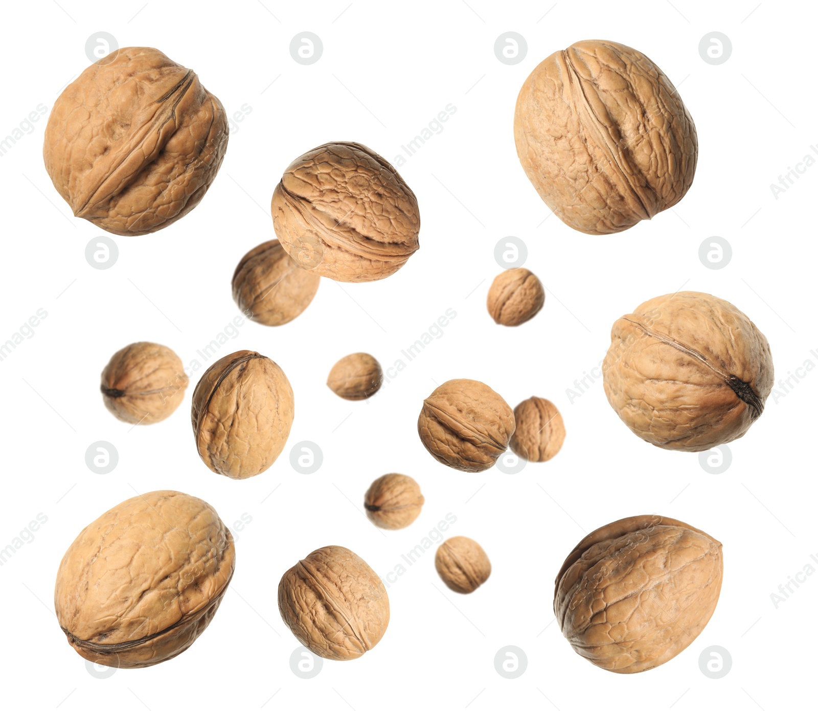 Image of Walnuts in shell swirling in air against white background