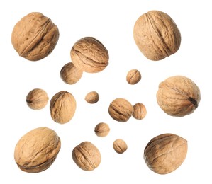 Image of Walnuts in shell swirling in air against white background