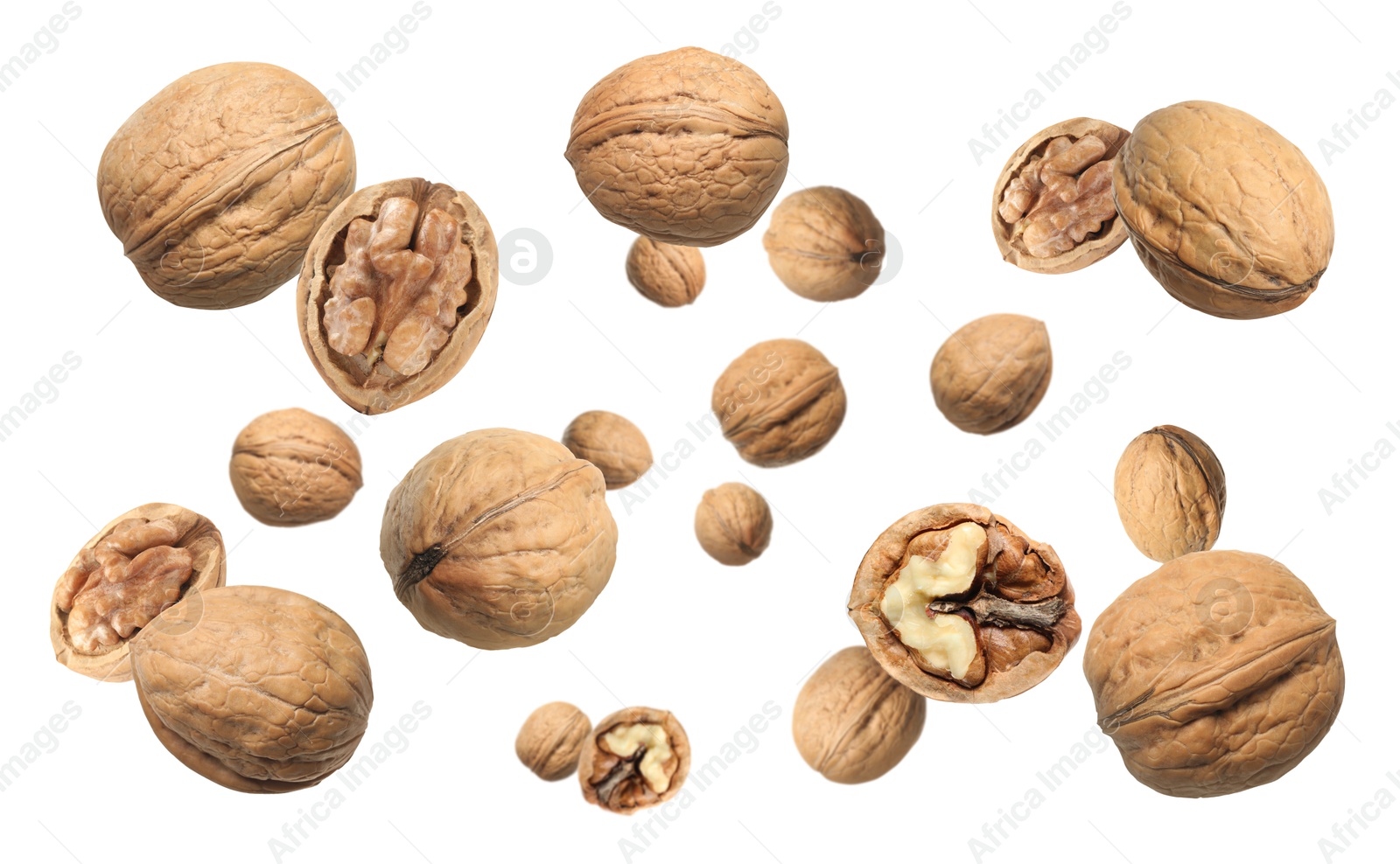 Image of Walnuts in shell swirling in air against white background