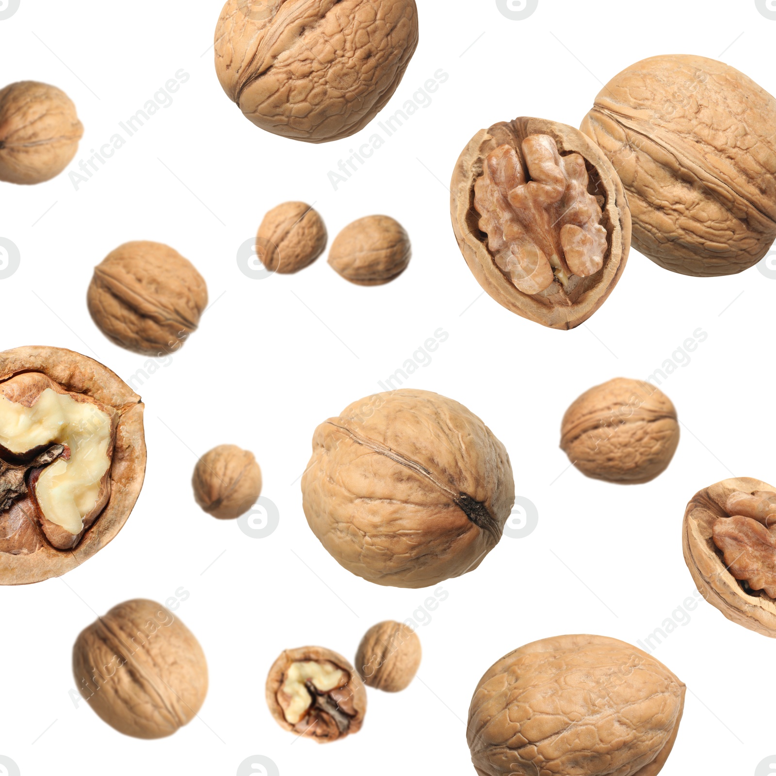Image of Walnuts in shell swirling in air against white background