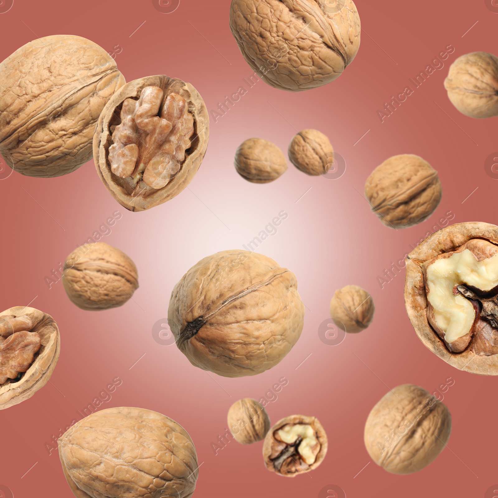 Walnuts in shell swirling in air against color background Image of Walnuts in shell swirling in air against color background