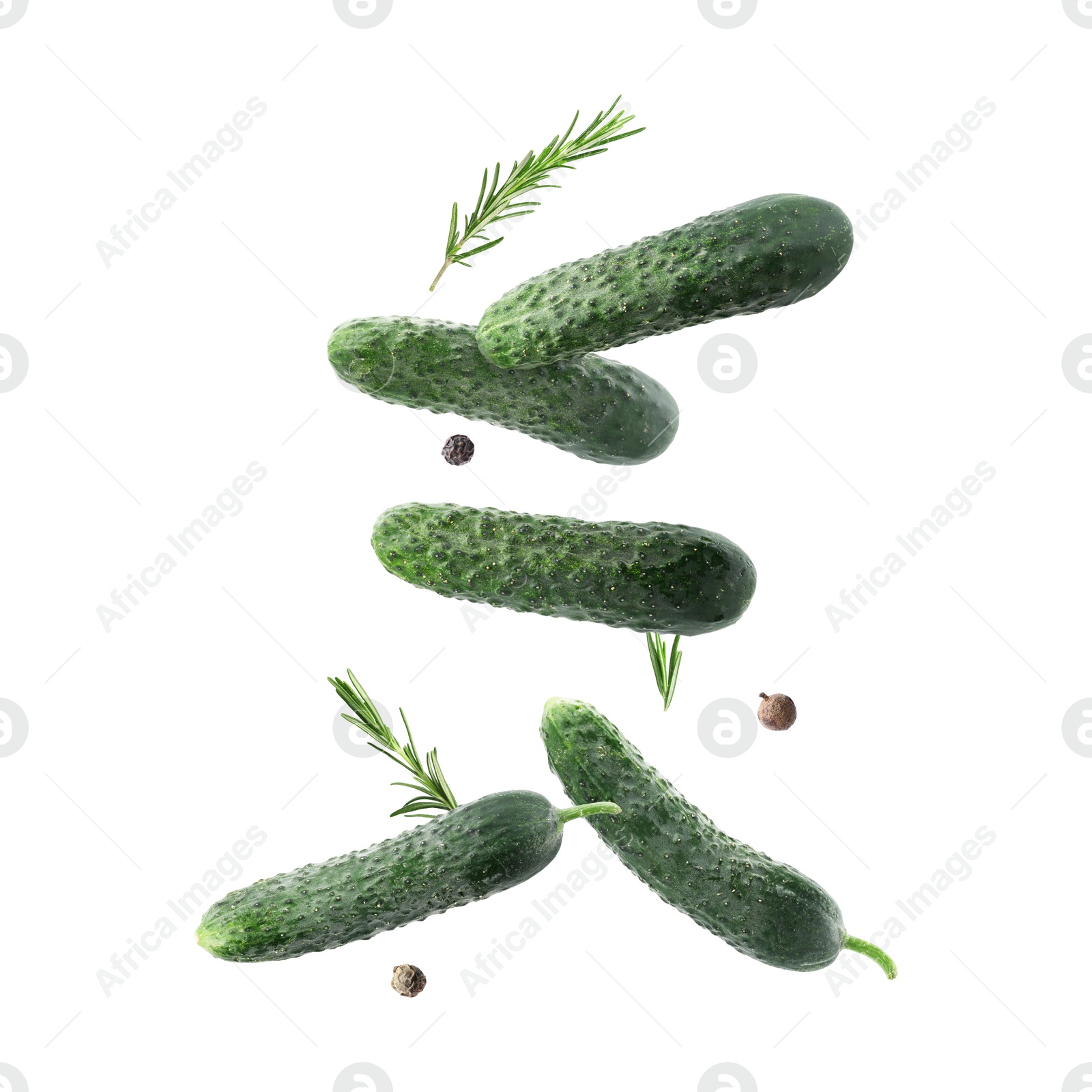 Image of Fresh cucumbers and rosemary falling against white background