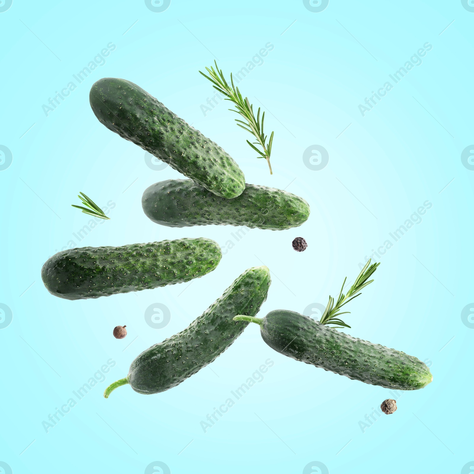 Image of Fresh cucumbers and rosemary falling against light blue background