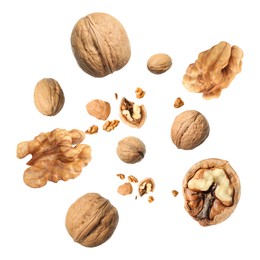 Image of Walnuts swirling in air against white background