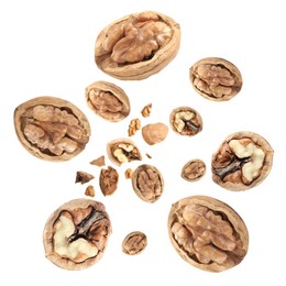 Image of Walnuts in shell swirling in air against white background