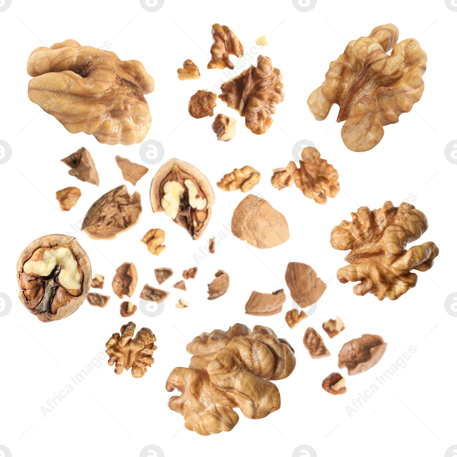 Walnuts swirling in air against white background Image of Walnuts swirling in air against white background