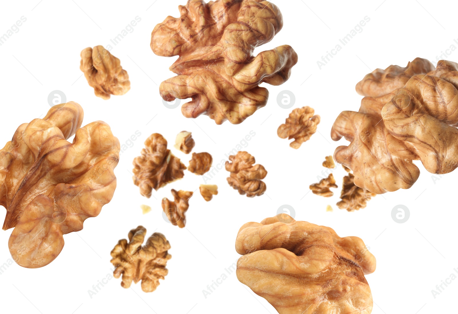 Walnuts swirling in air against white background Image of Walnuts swirling in air against white background