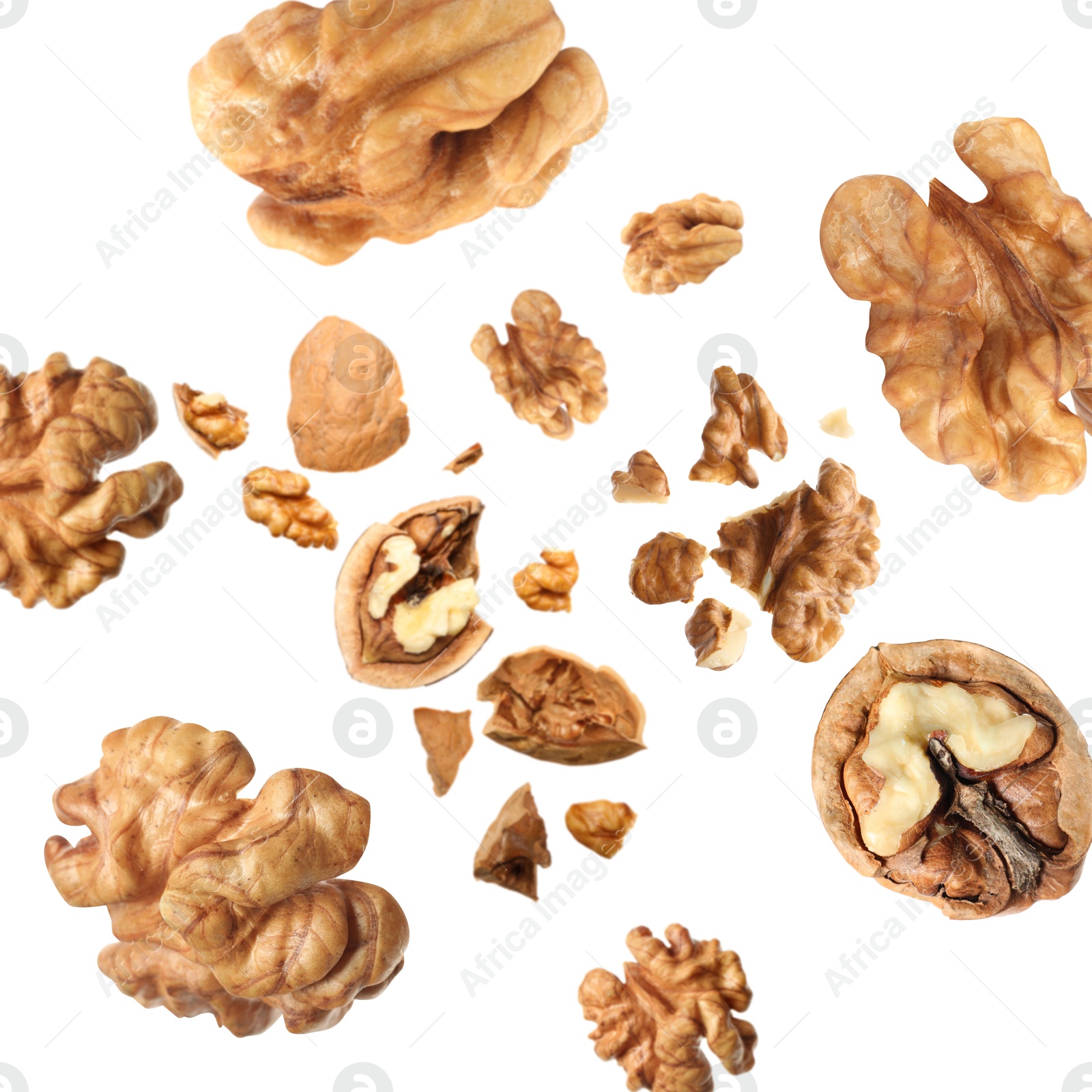 Walnuts swirling in air against white background Image of Walnuts swirling in air against white background