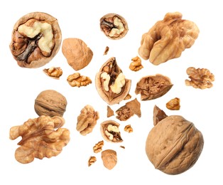 Image of Walnuts swirling in air against white background