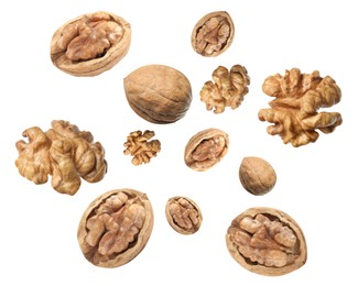 Image of Walnuts swirling in air against white background