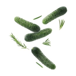 Image of Fresh cucumbers and rosemary falling against white background