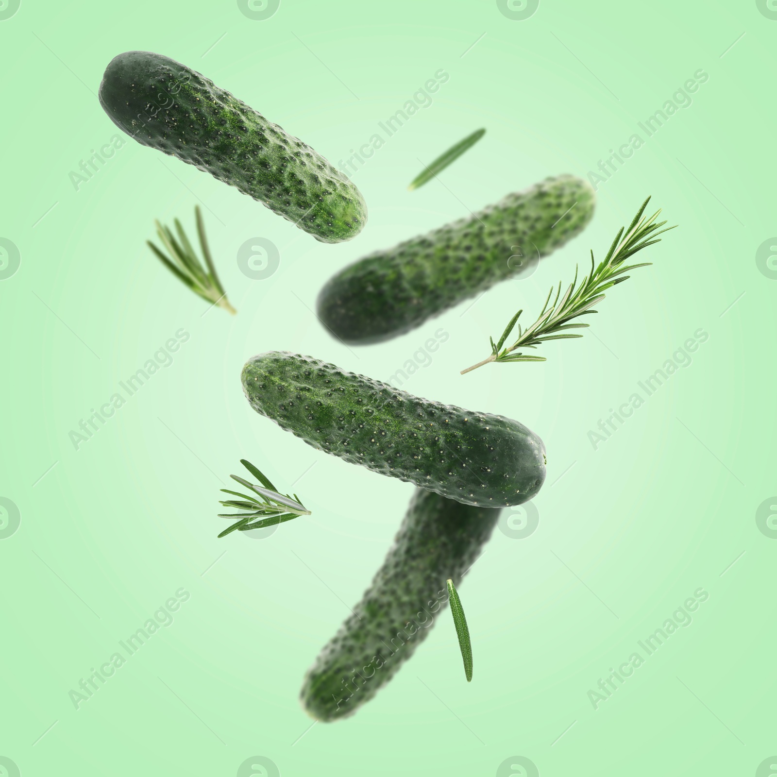 Image of Fresh cucumbers and rosemary falling against aquamarine color background