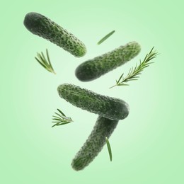 Image of Fresh cucumbers and rosemary falling against aquamarine color background