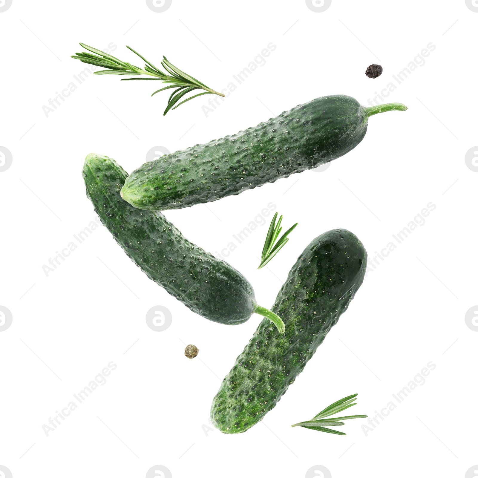Image of Fresh cucumbers and rosemary falling against white background