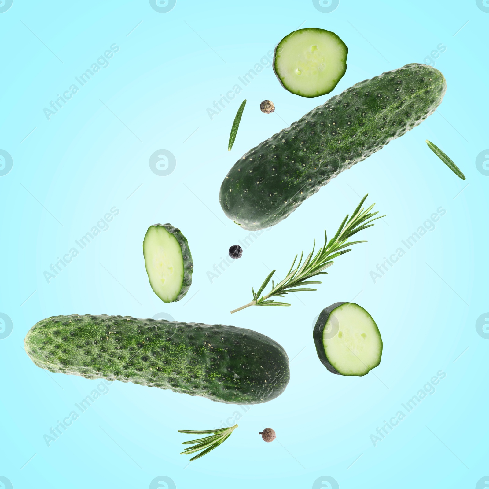Image of Fresh cucumbers and rosemary falling against light blue background