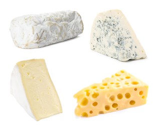 Image of Variety of cheeses isolated on white, set