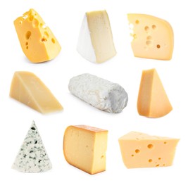 Image of Variety of cheeses isolated on white, set
