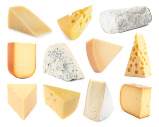 Image of Variety of cheeses isolated on white, set