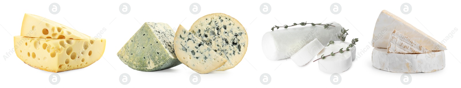 Image of Variety of cheeses isolated on white, set
