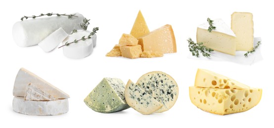 Image of Variety of cheeses isolated on white, set