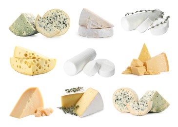 Image of Variety of cheeses isolated on white, set