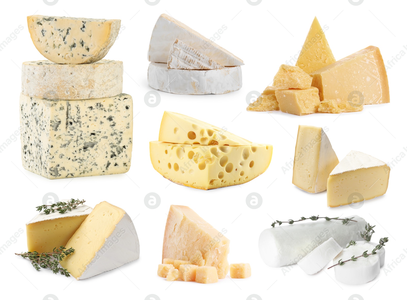 Image of Variety of cheeses isolated on white, set