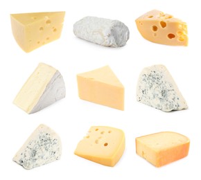 Image of Variety of cheeses isolated on white, set