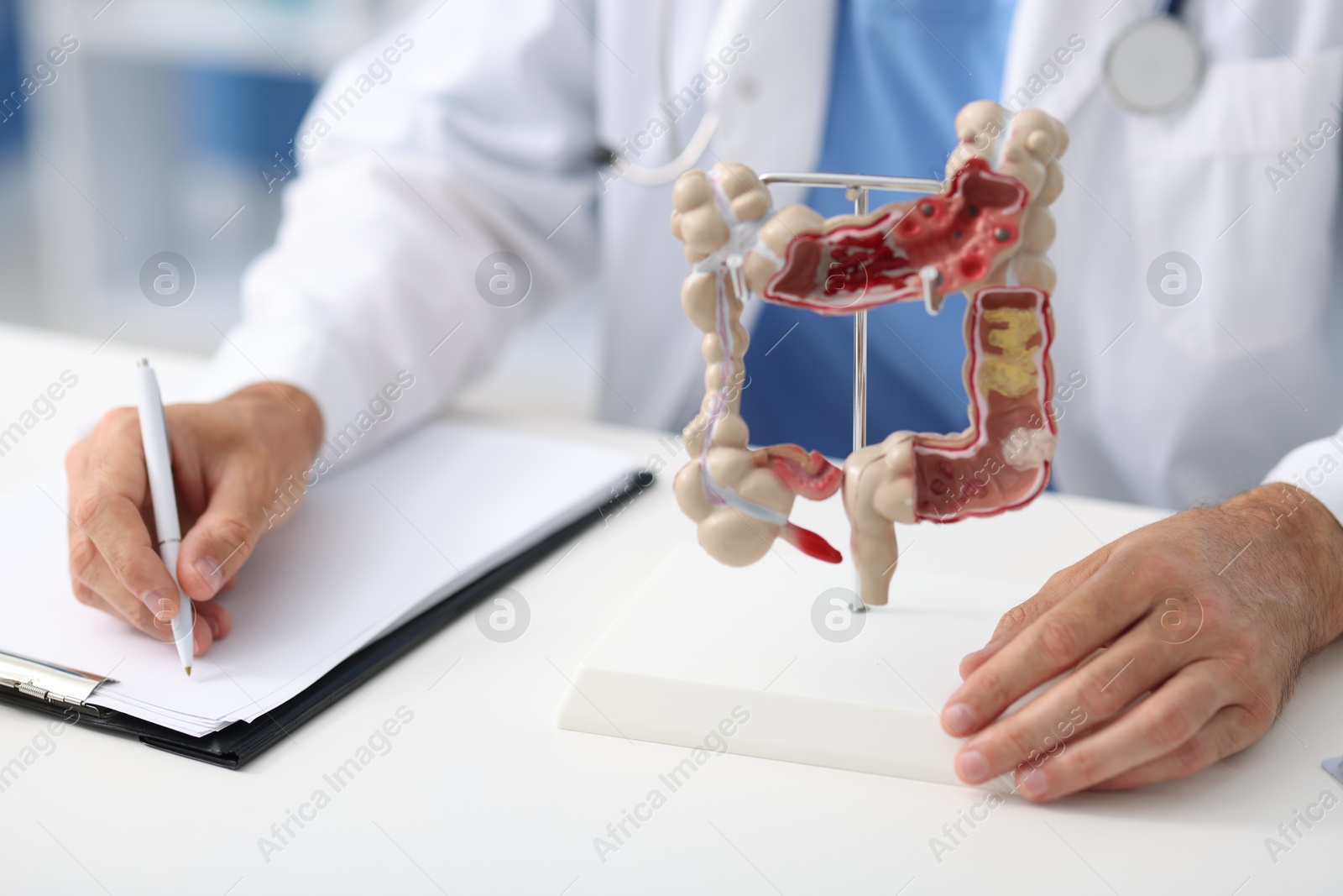 Photo of Gastroenterologist with model of large intestine working at white table in clinic, closeup