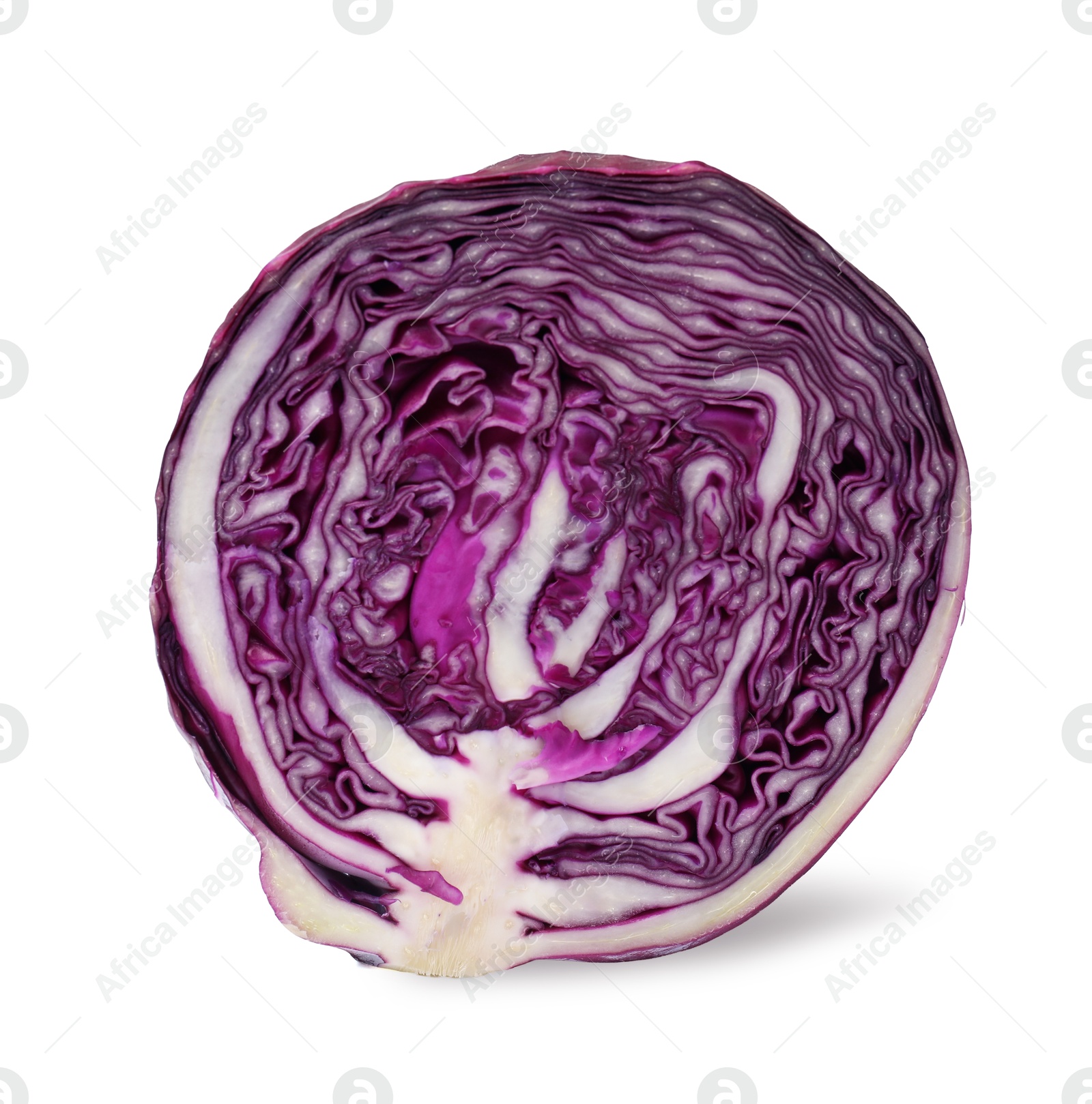 Photo of Half of fresh red cabbage isolated on white