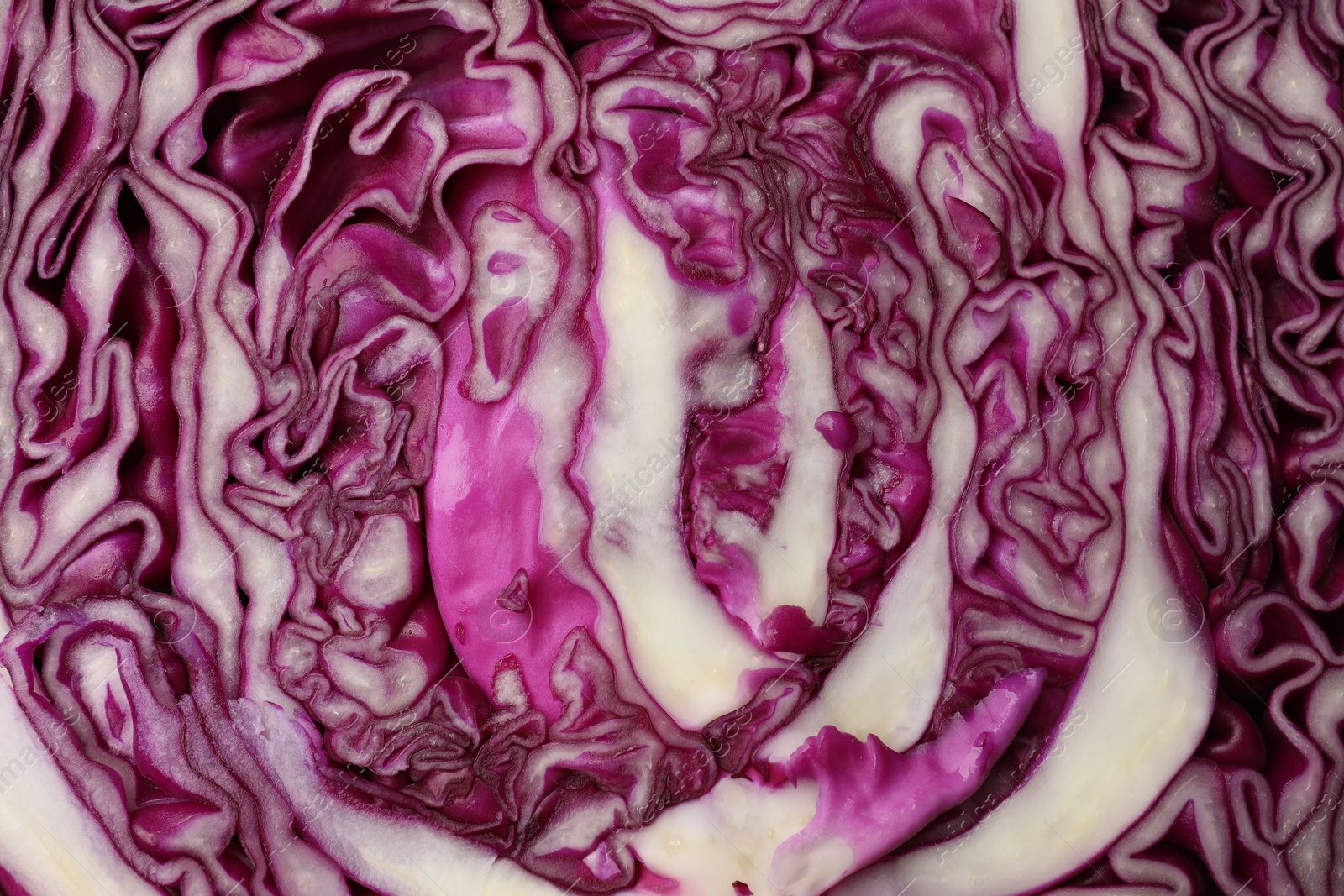 Photo of Cut fresh red cabbage as background, closeup