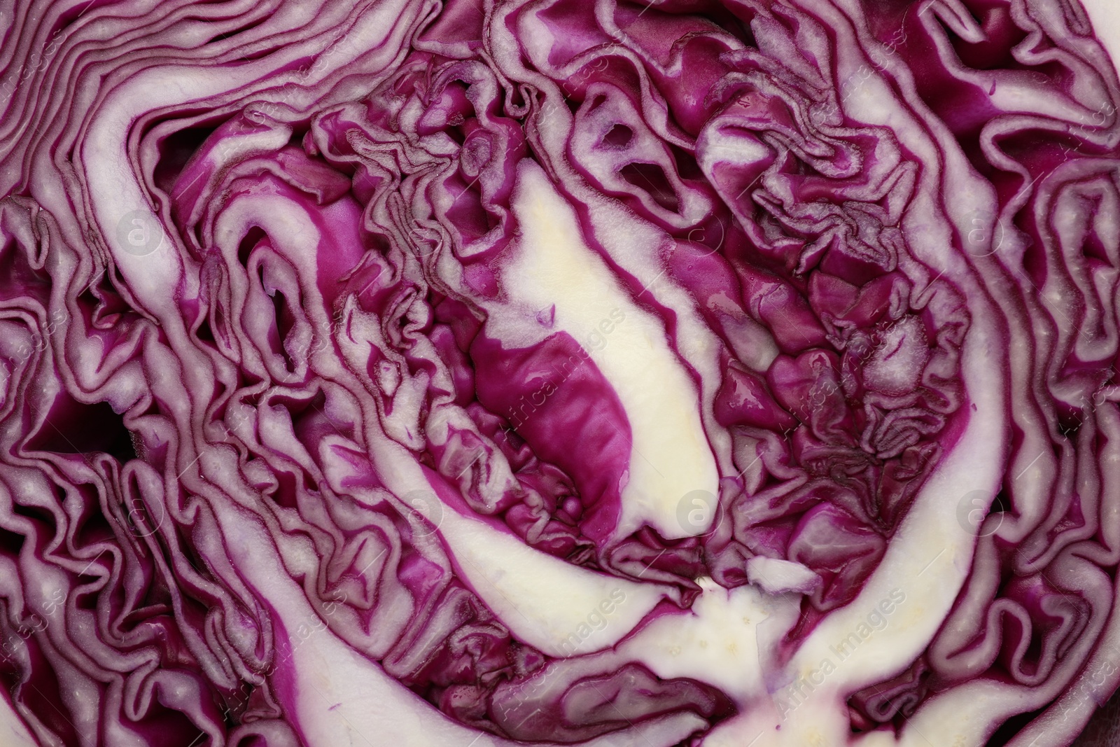 Photo of Cut fresh red cabbage as background, closeup