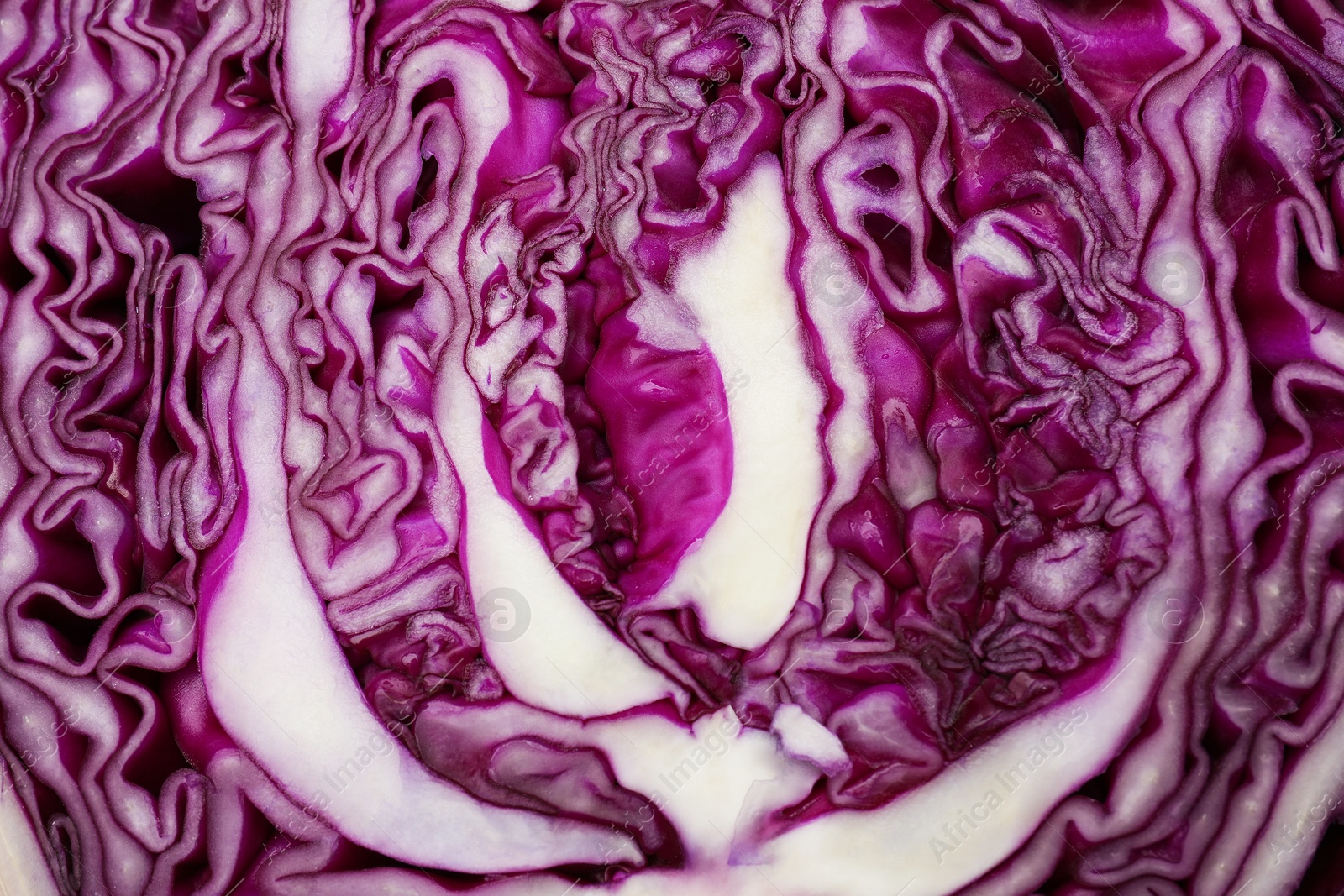 Photo of Cut fresh red cabbage as background, closeup
