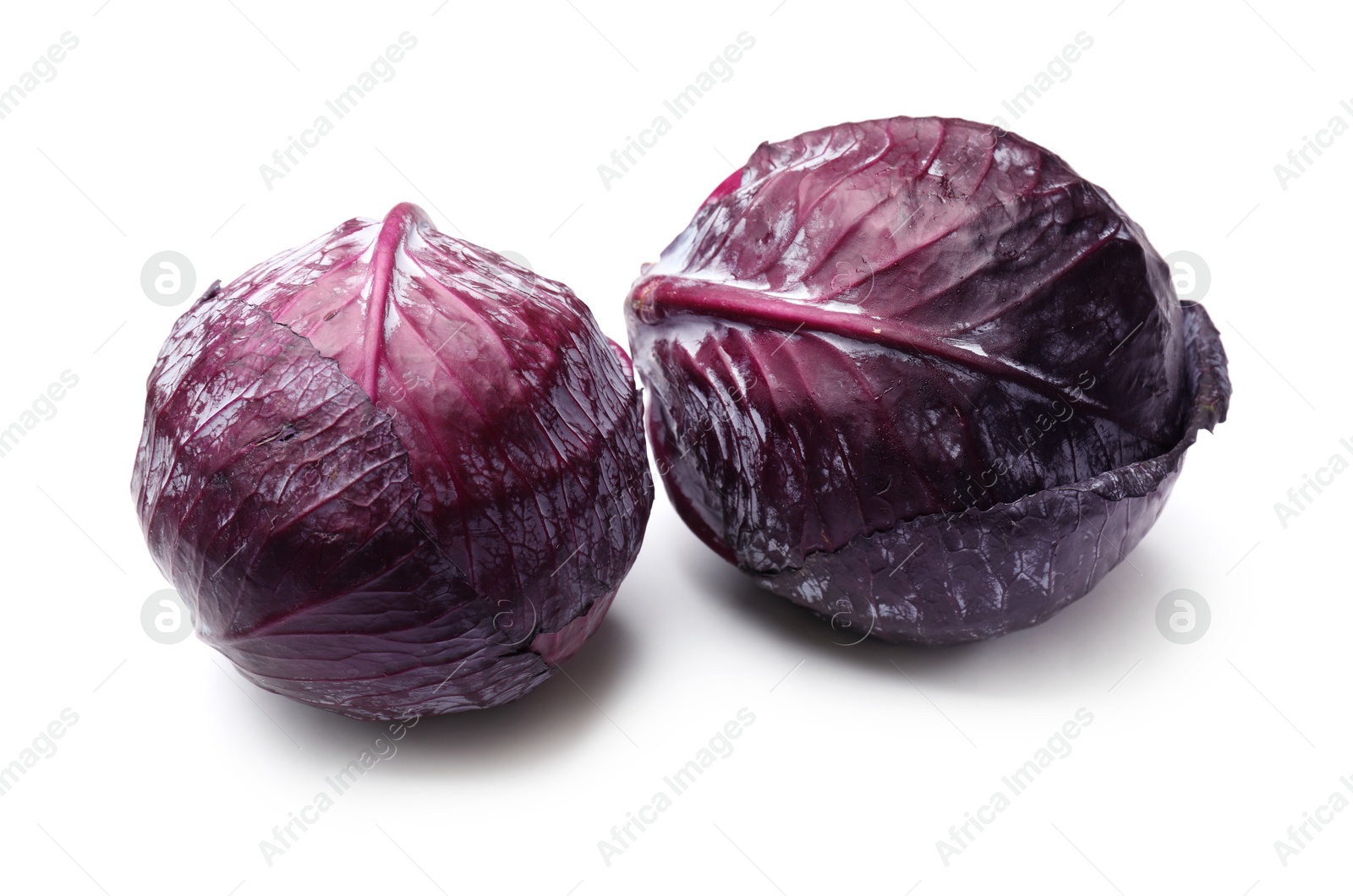 Two fresh red cabbages isolated on white Photo of Two fresh red cabbages isolated on white