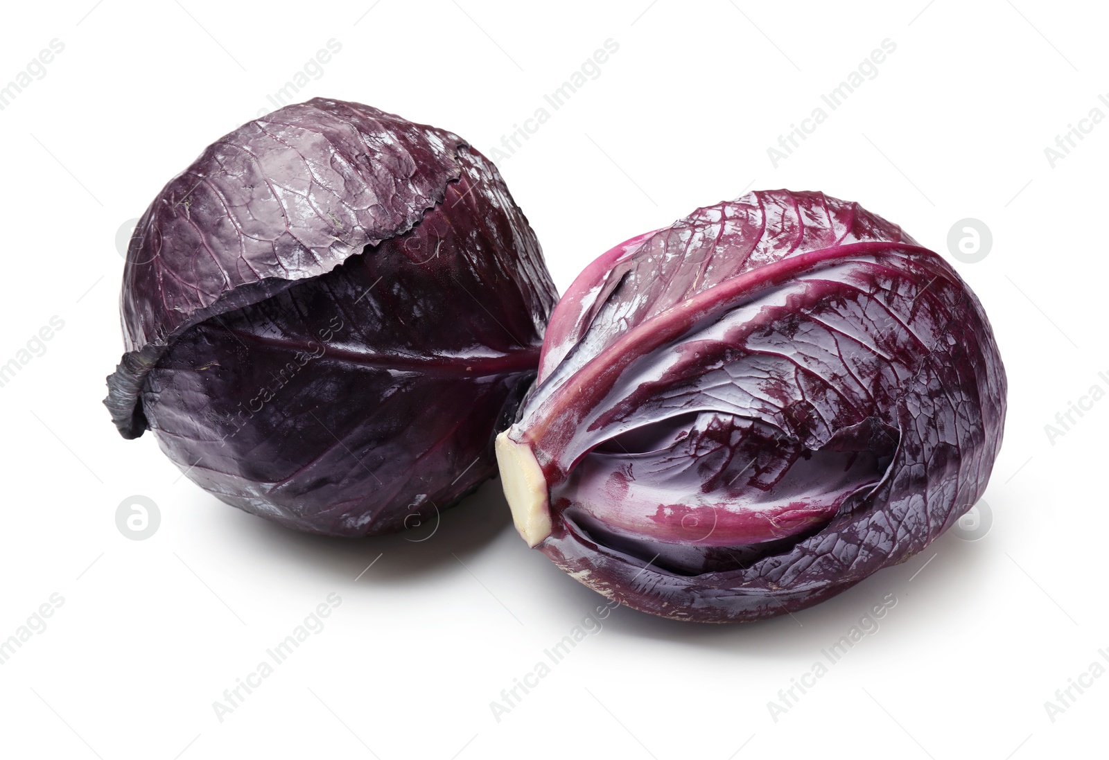 Two fresh red cabbages isolated on white Photo of Two fresh red cabbages isolated on white