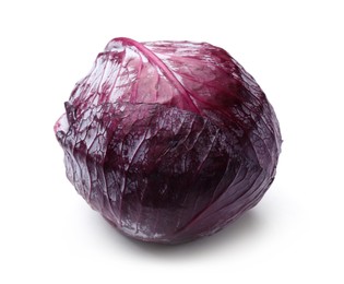 Photo of One fresh red cabbage isolated on white
