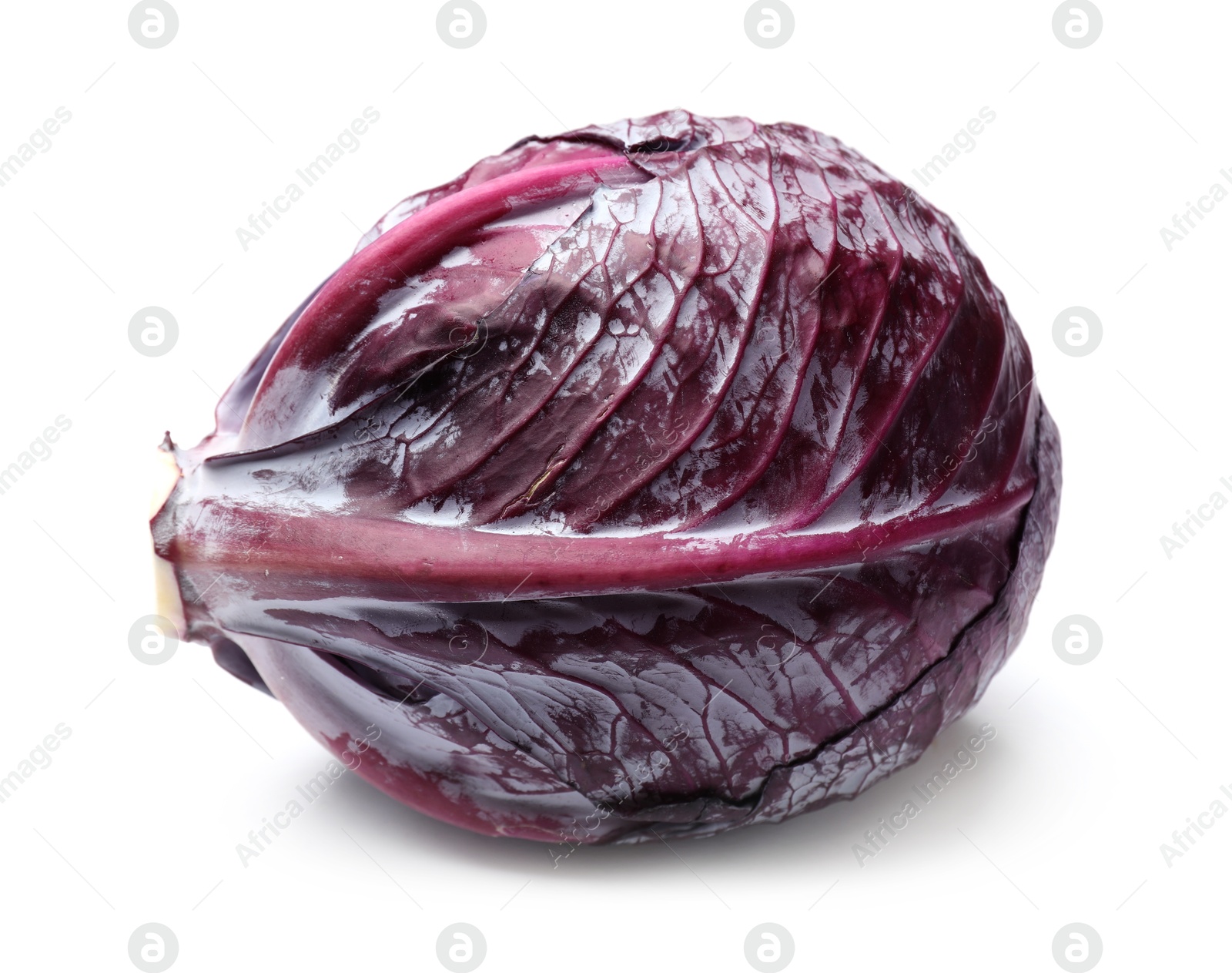 Photo of One fresh red cabbage isolated on white