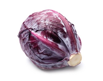 Photo of One fresh red cabbage isolated on white