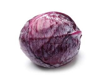 Photo of One fresh red cabbage isolated on white